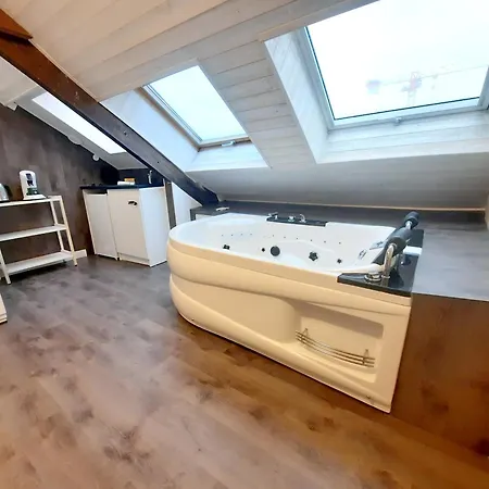 L'opale - Sauna Et Jacuzzi * 第戎