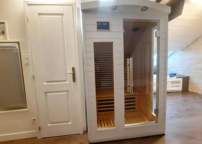 Διαμέρισμα L'opale - Sauna Et Jacuzzi Ντιζόν