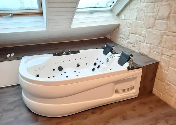 L'opale - Sauna Et Jacuzzi * 第戎