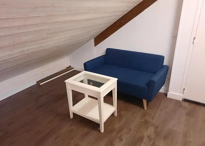 L'opale - Sauna Et Jacuzzi * 第戎